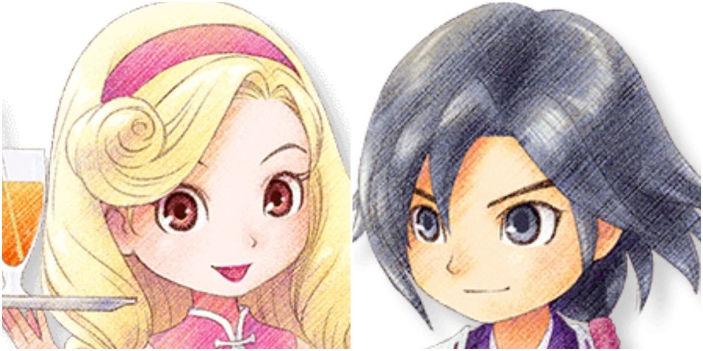 Story Of Seasons Pioneers Of Olive Town Blaire And Iori