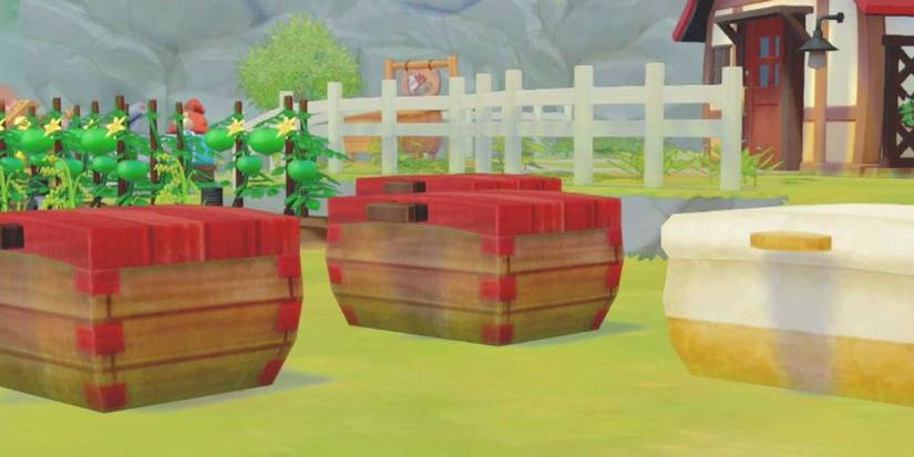Story Of Seasons Pioneers Of Olive Town Storage Box