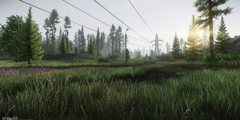 Tarkov Field