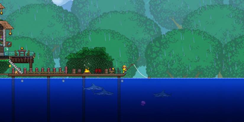 Terraria Fishing In Sea