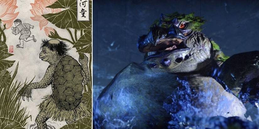 Split Image Of The Tetranadon And The Kappa