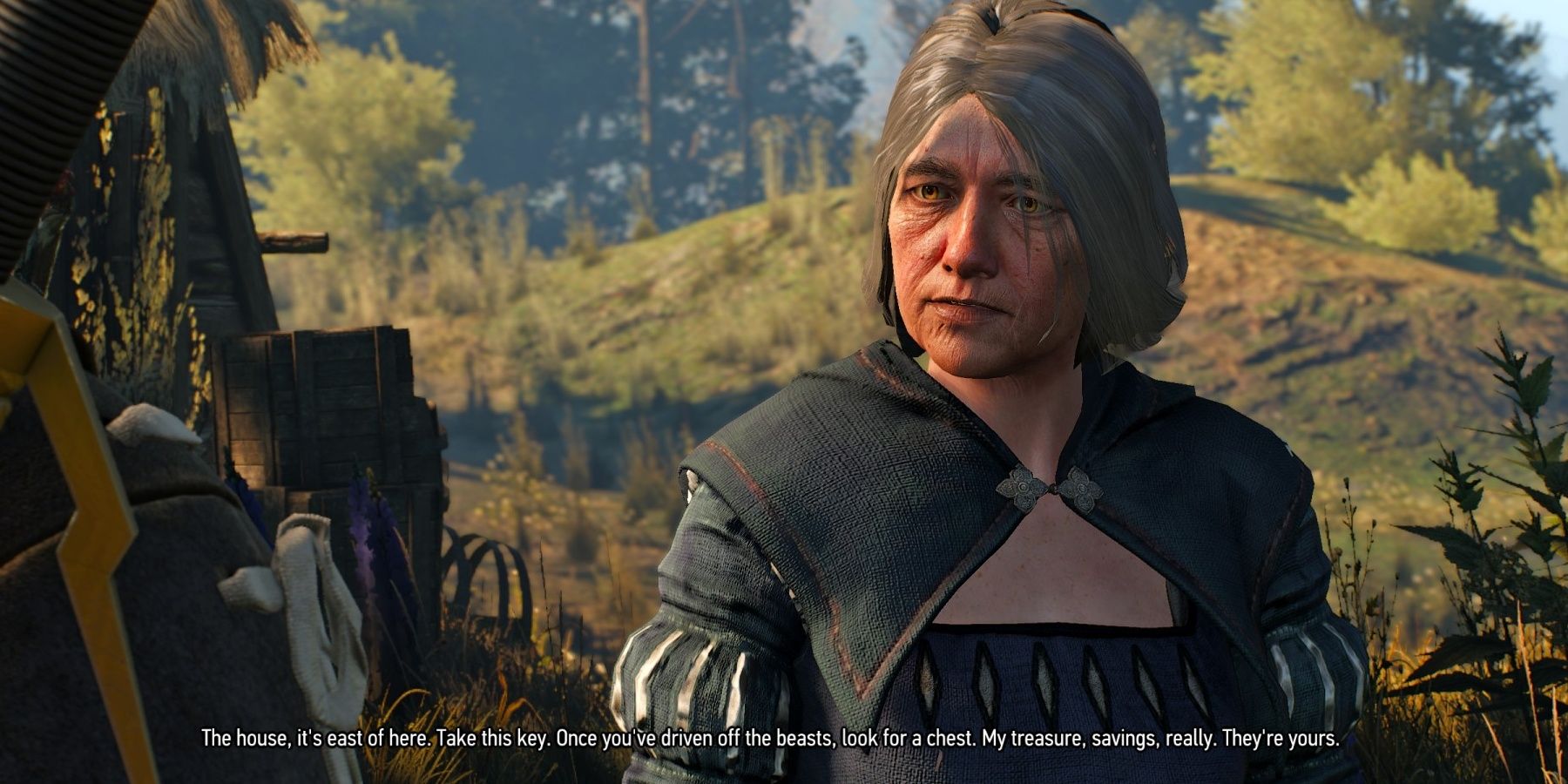 Dolores Reardon From The Witcher 3