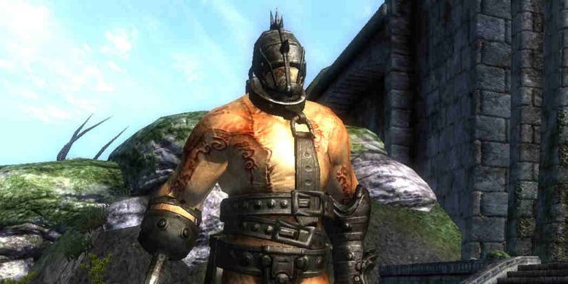 The Guardian Shivering Isles Gates