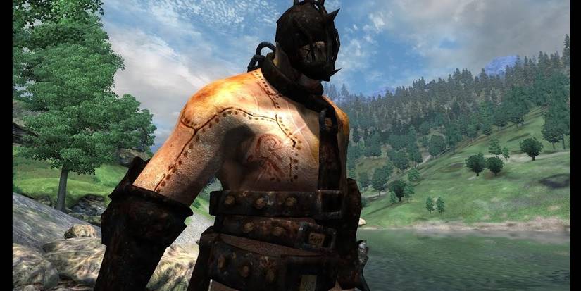 The Guardian Shivering Isles