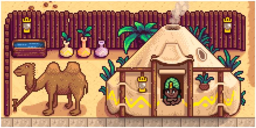 The trader as they appear in the desert