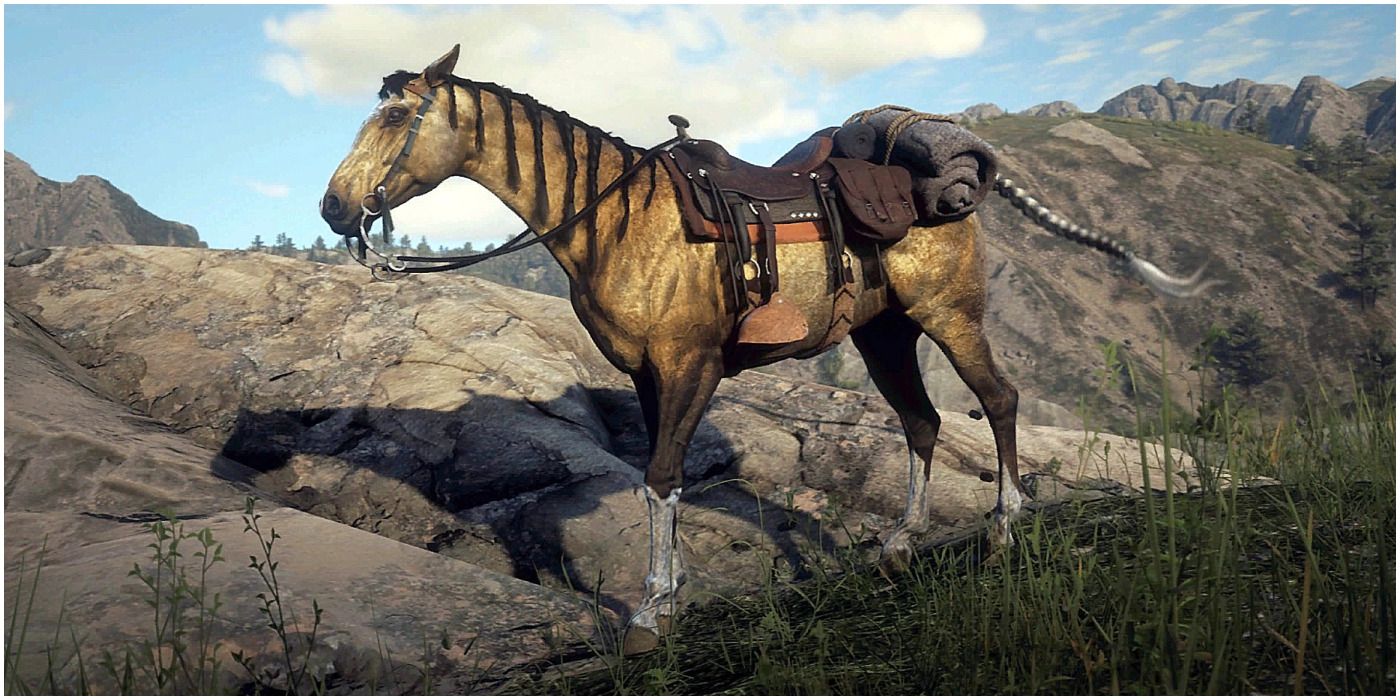 Turkoman Horse From Red Dead Redemption 2
