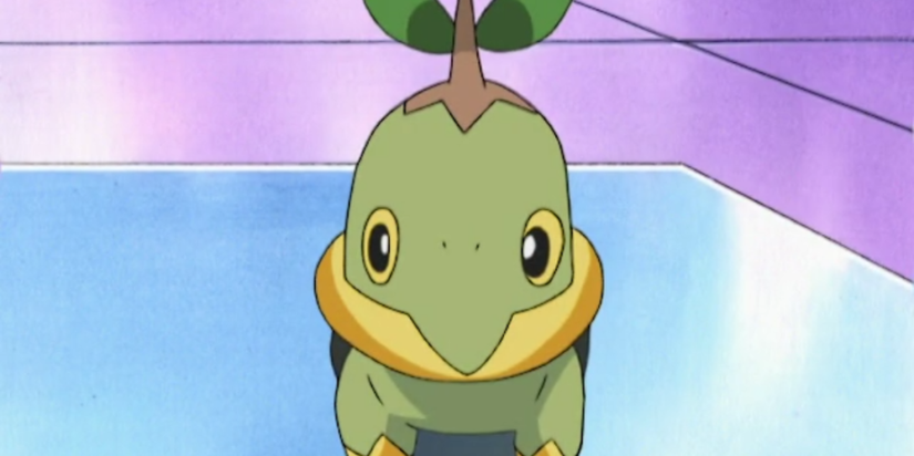 Pokemon Turtwig