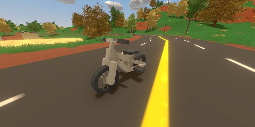 Unturned Bicycle On Road