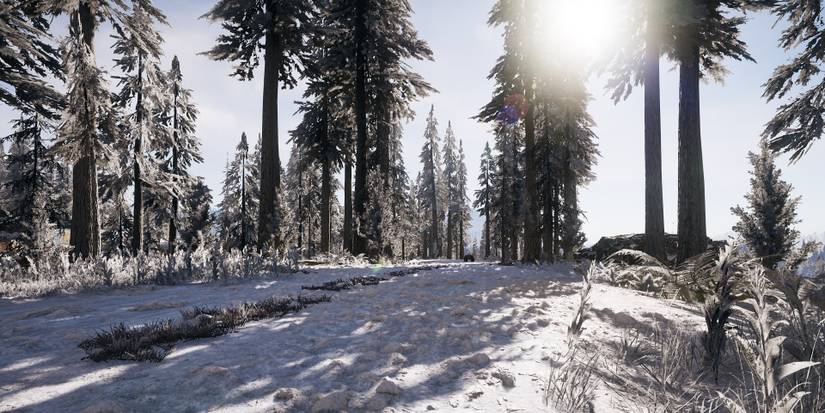 Winter Hope County mod for Far Cry 5