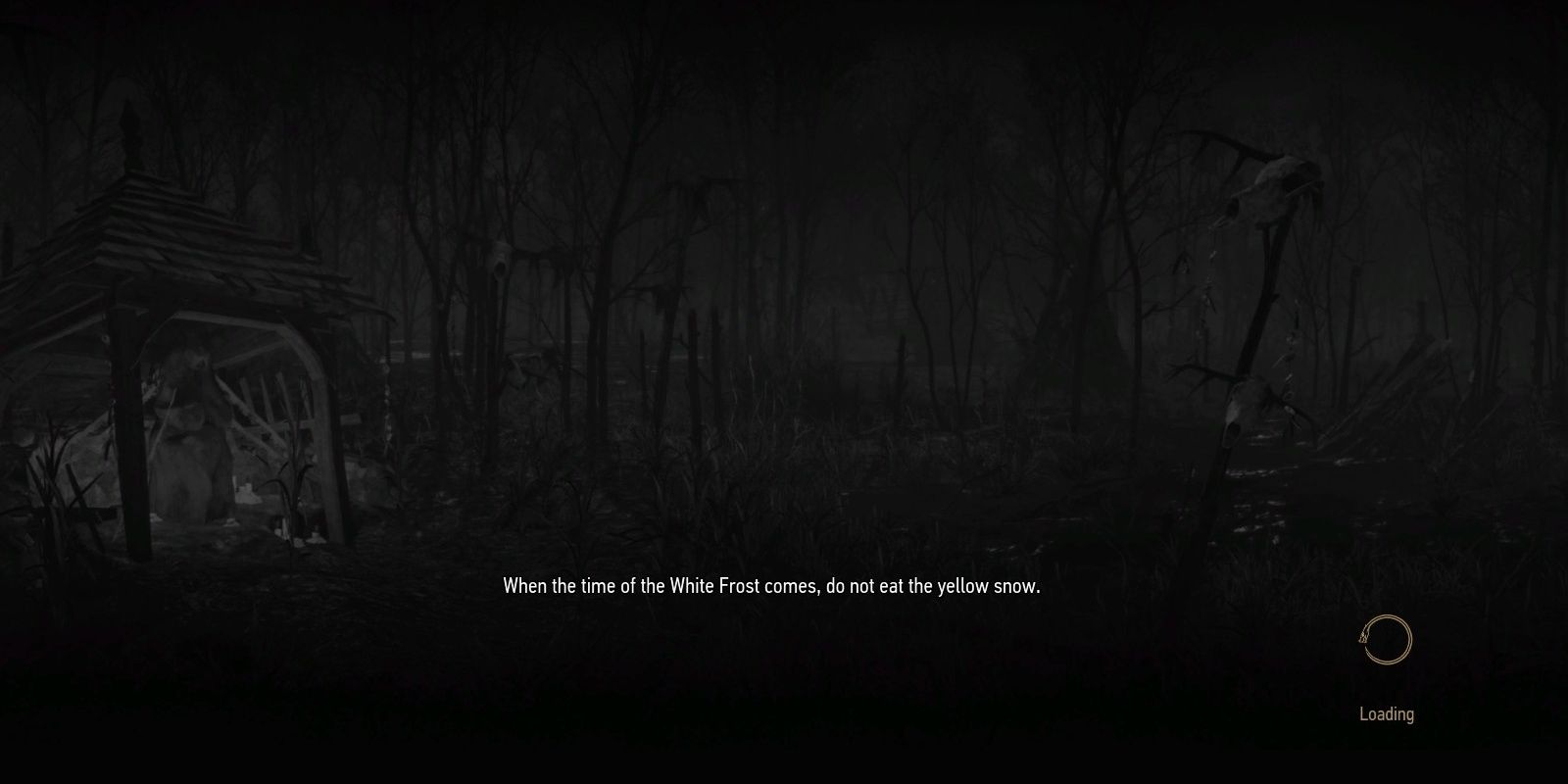 Loading Screen From The Witcher 3