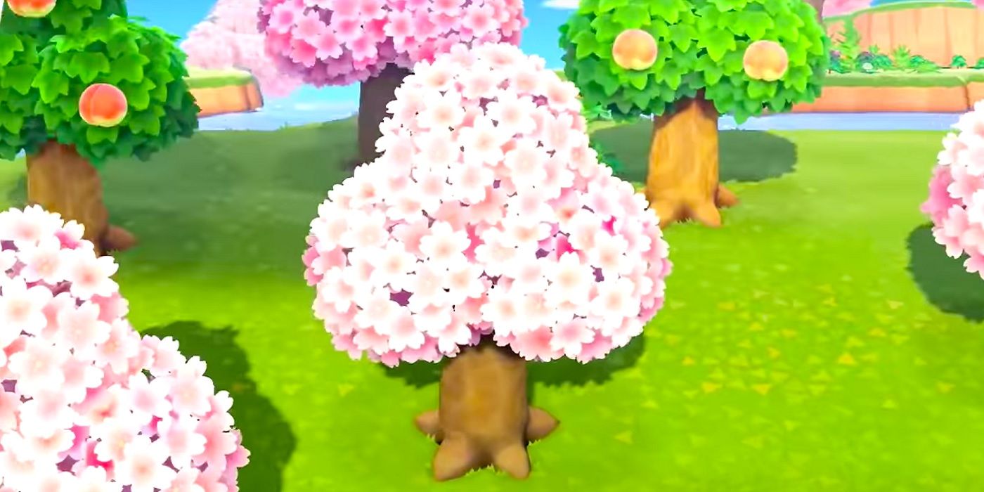 What's New In April 2023 For Animal Crossing: New Horizons (Cherry Blossom,  Bunny Day, Prom) - Animal Crossing World