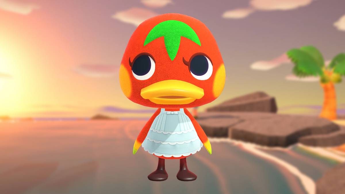 animal crossing new horizons ketchup
