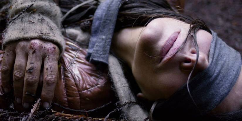 Why Bird Box is Bad for Mental Health: Shocking Truth Revealed