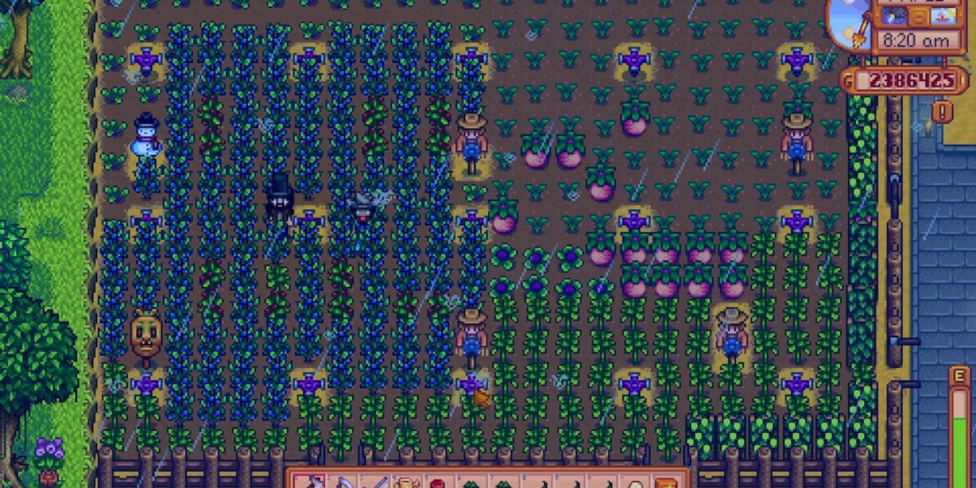 stardew big blueberry farm with sprinklers