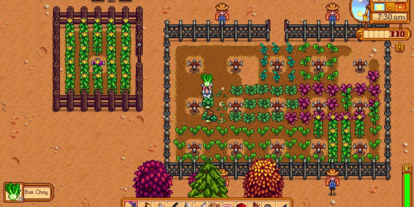 stardew valley bok choy farm surrounded by metal fence