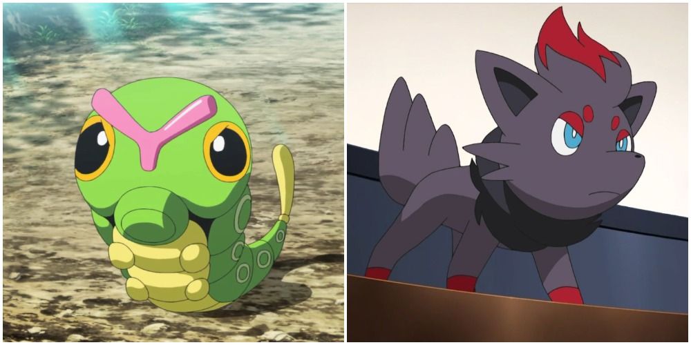 Caterpie and Zorua in the Pokemon anime
