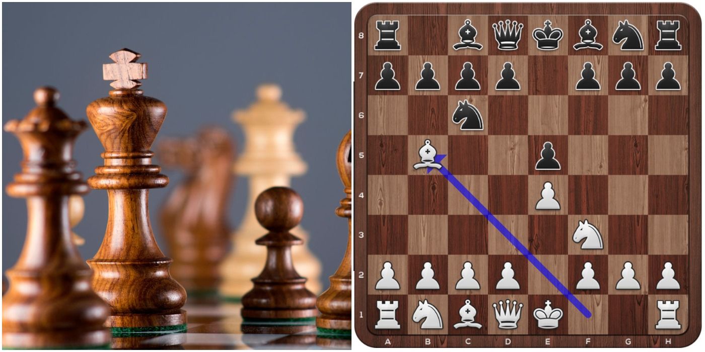 13 Best Chess Openings That Every Beginner Should Know