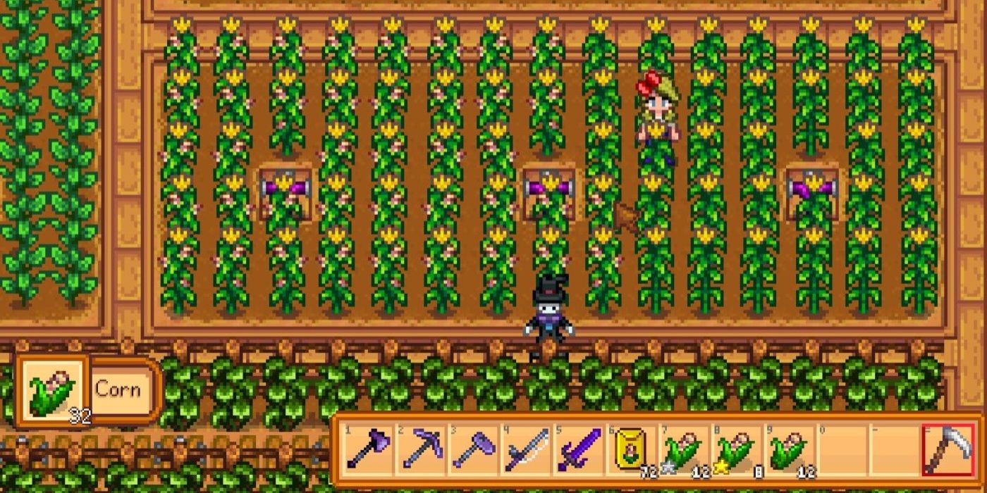 stardew valley giant corn farm