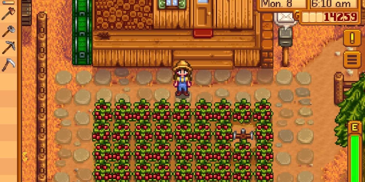 fazenda de cranberry stardew valley sob a casa cercada por cerca