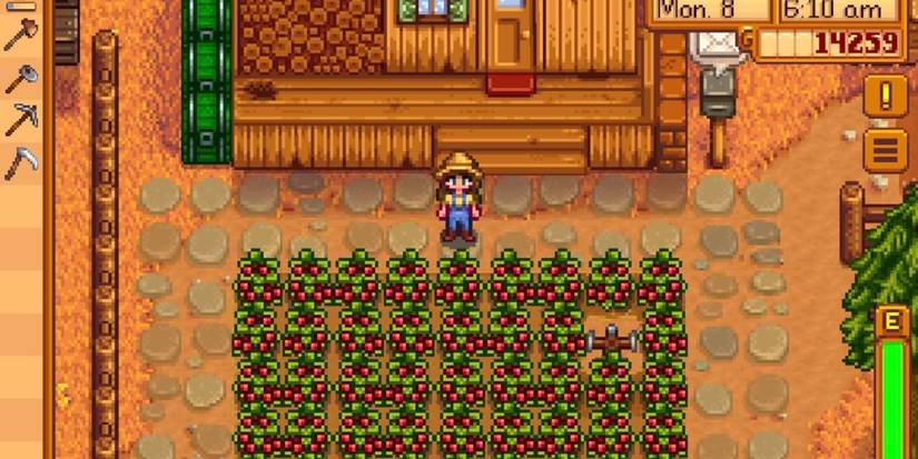 stardew valley cranberry farm under house surrounded by fence