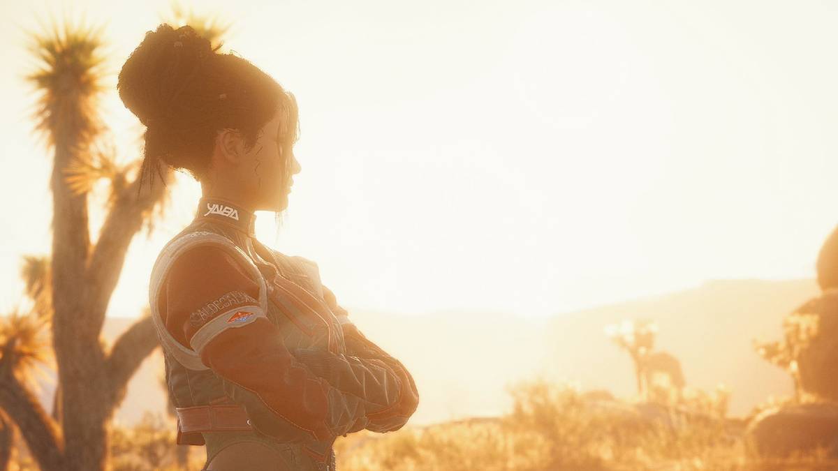 cyberpunk 2077 panam