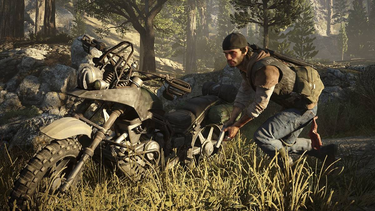 days gone pc features