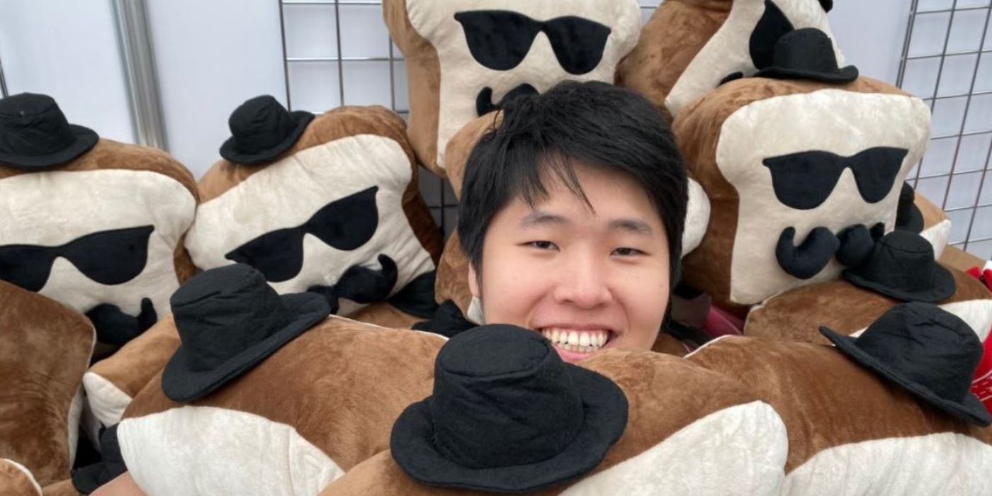 disguisedtoast