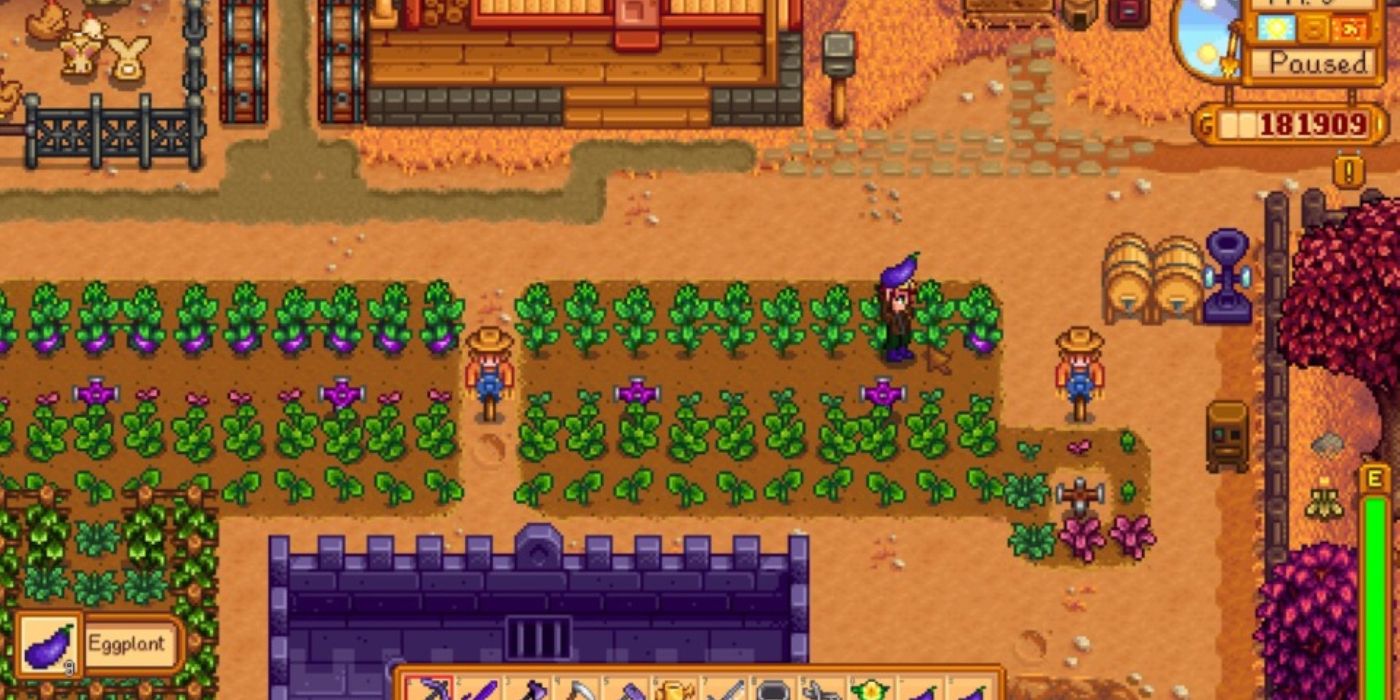 stardew valley eggplant farm above slime shack