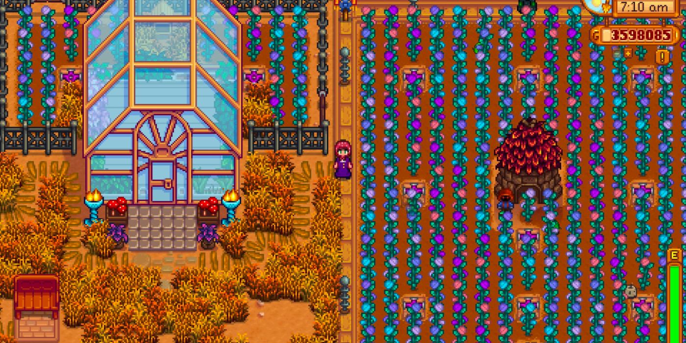 stardew valley fair rose farm multicolored pastel flowers next to greenhouse on hill