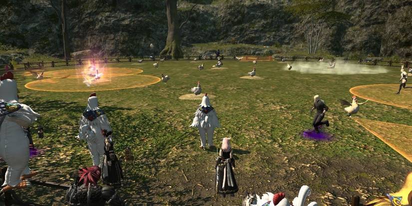 final fantasy 14 hatching-tide chicken fate