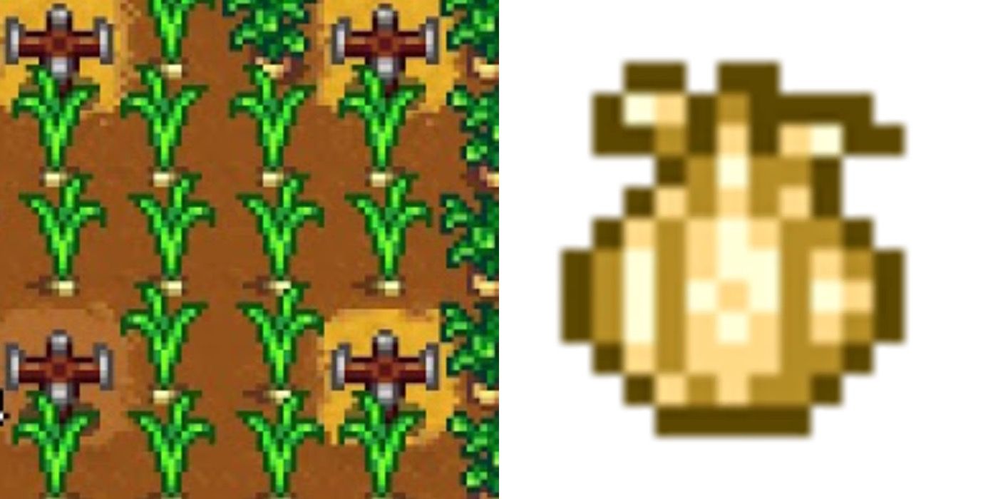 Stardew Valley garlic plants