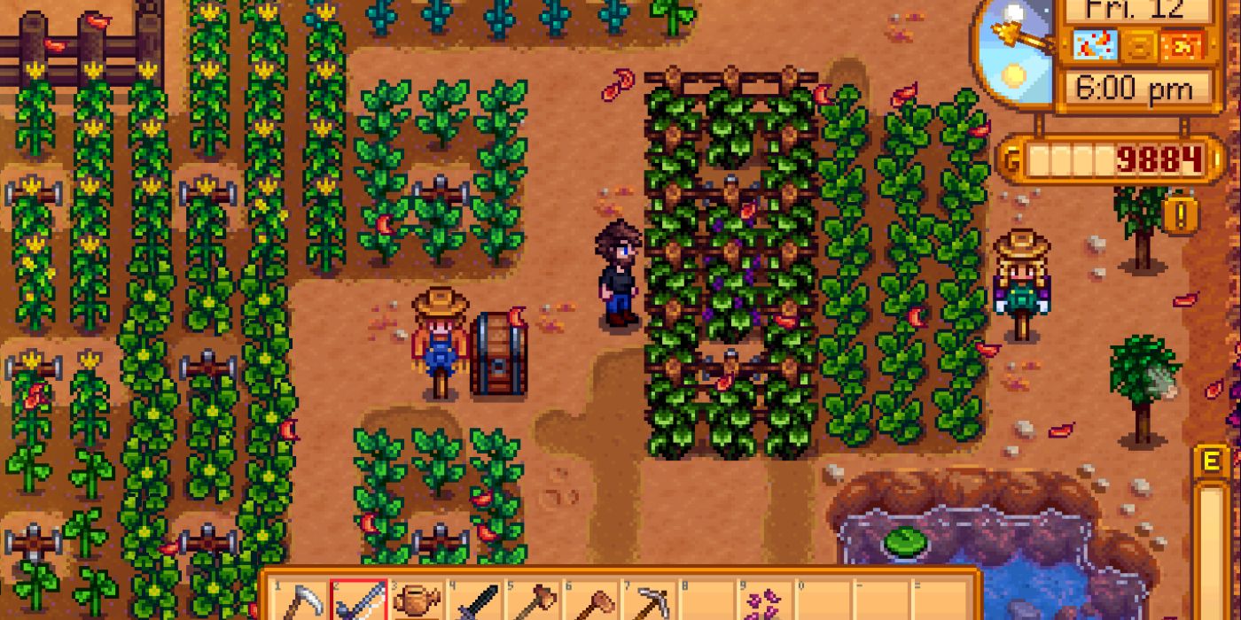 stardew valley grape farm at night