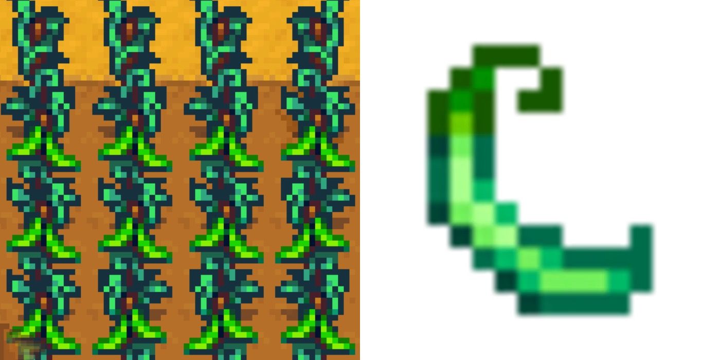 green beans in Stardew valley