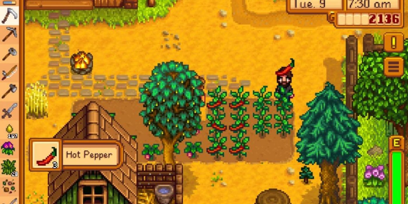 stardew small hot pepper farm about chicken coop amidst trees and empty land