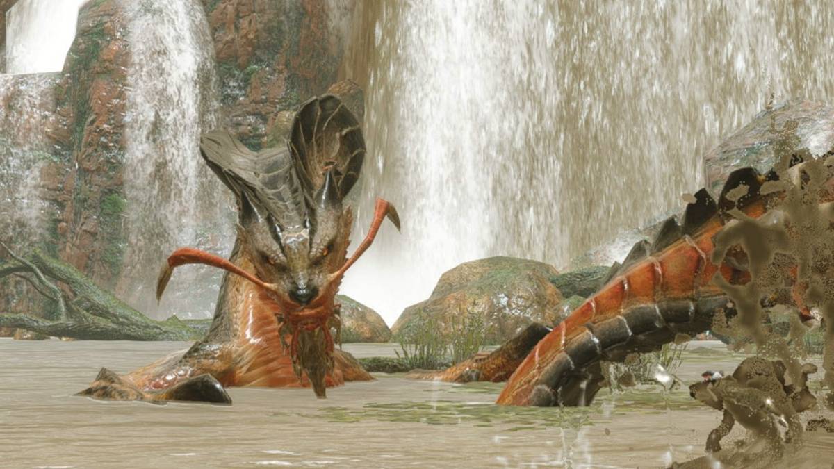 almudron in the flooded forest