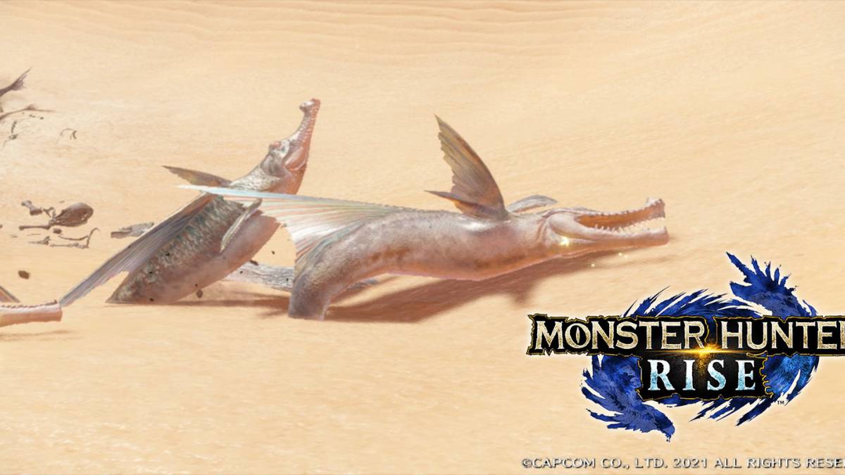 monster hunter rise delex out of sand with logo