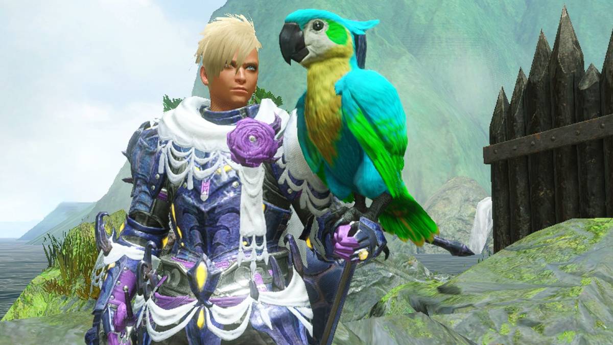 hunter with cahoot in macaw outfit