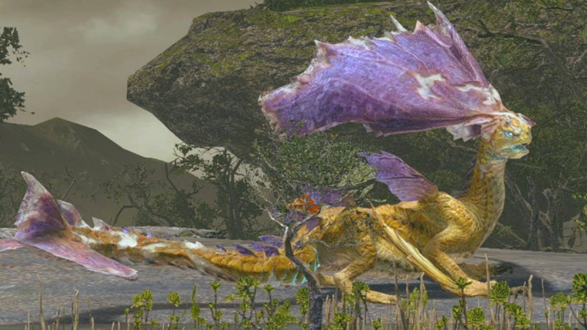 monster hunter rise somnacanth cover