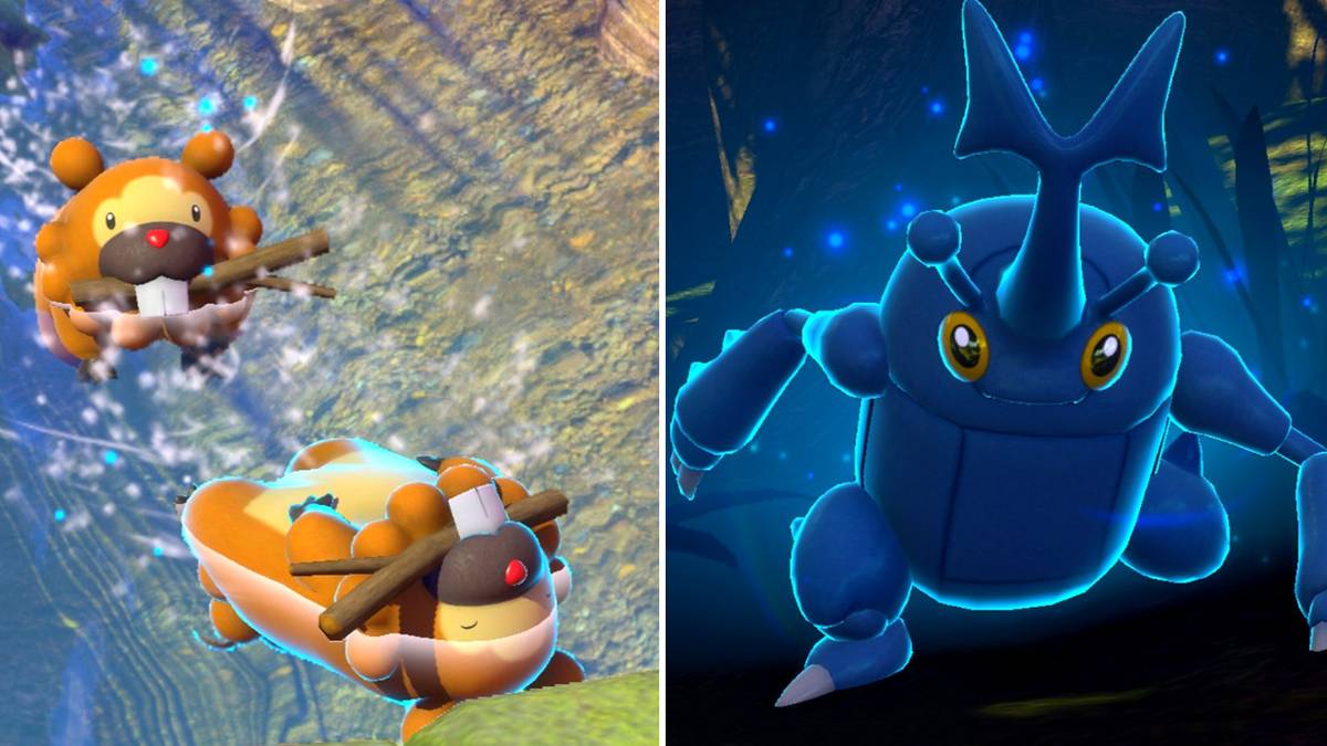 New Pokemon Snap Florio Park. Bidoof and Heracross