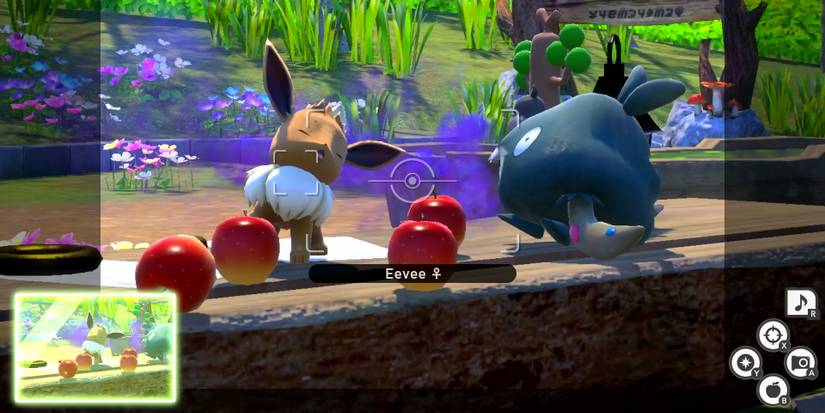 Trubbish attacks Eevee in New Pokemon Snap