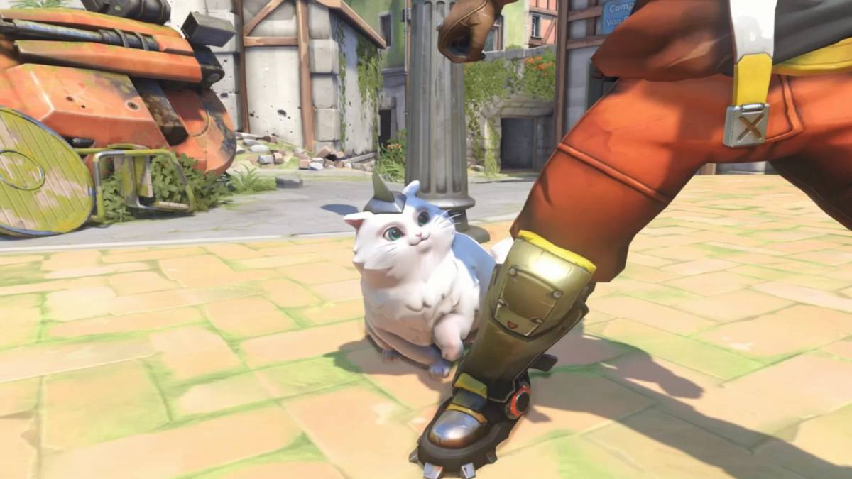 overwatch brigitte katt emote