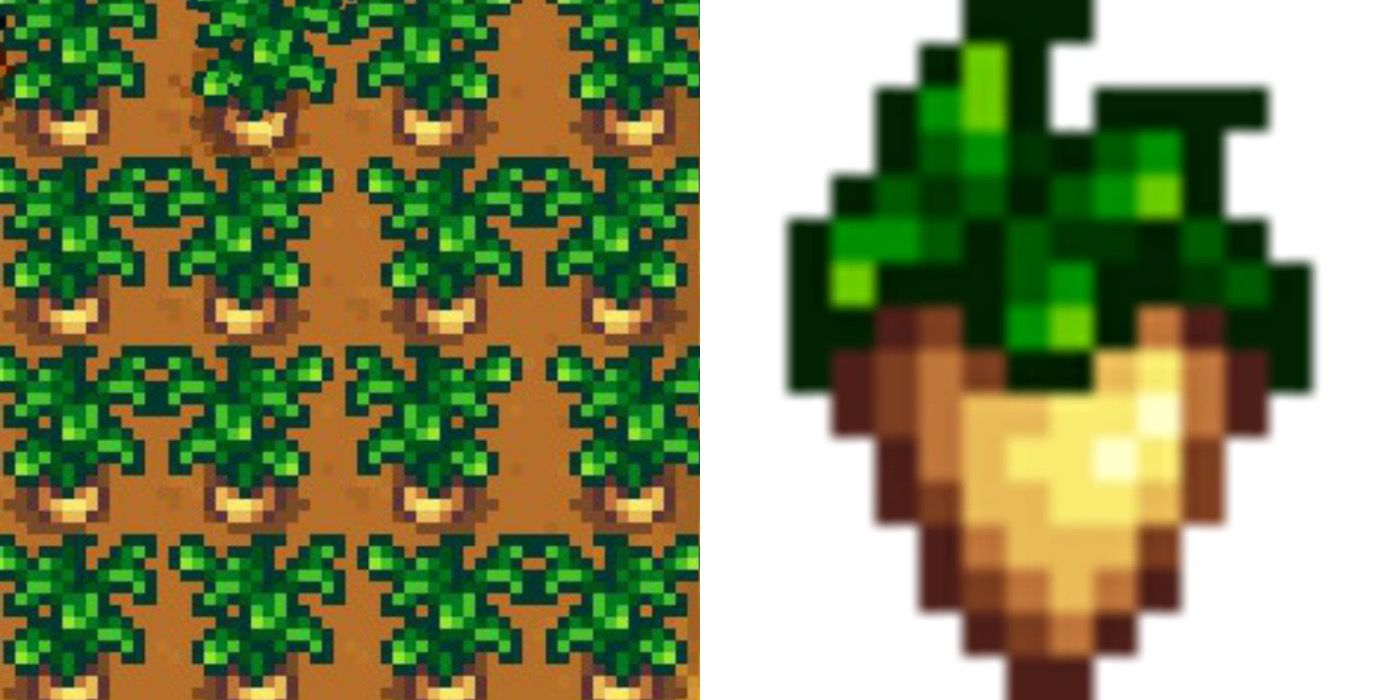 Stardew Valley: Every Spring Crop, Ranked