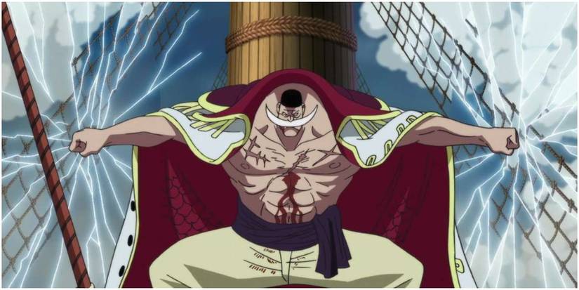 One Piece Whitebeard Pirates