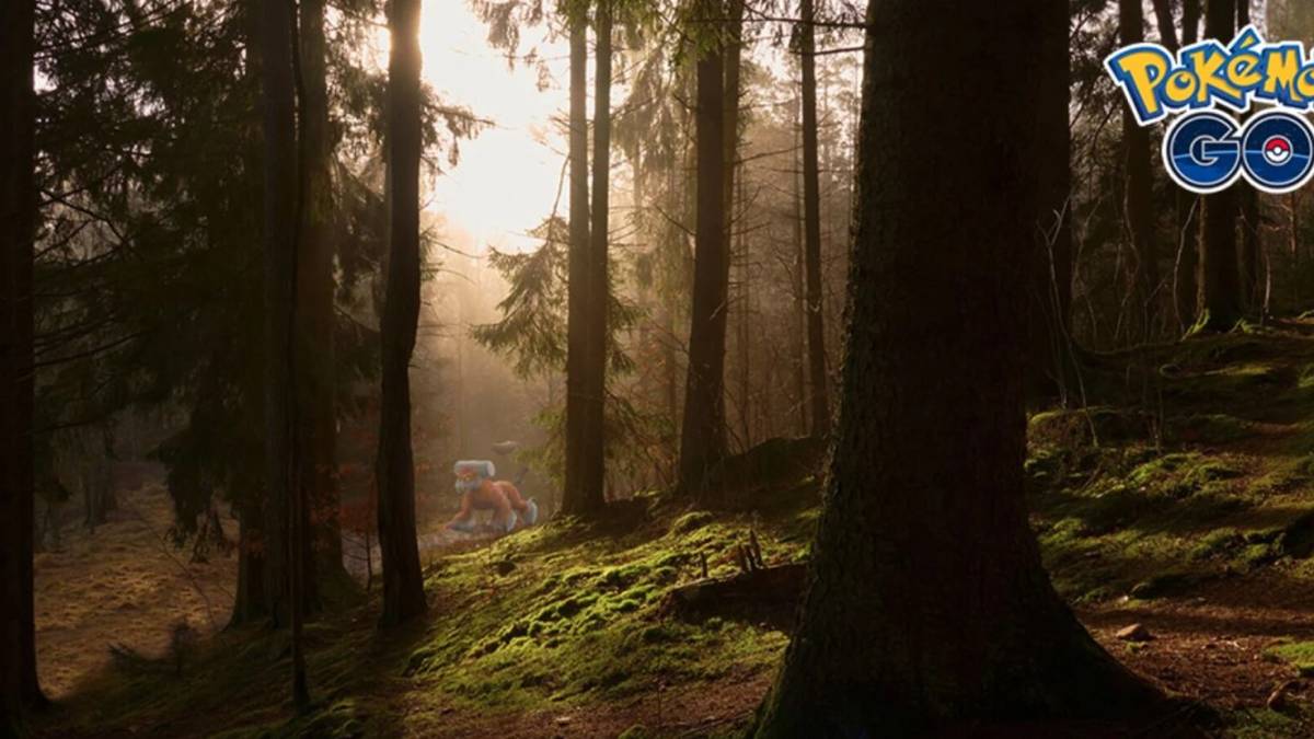 Pokemon GO Rival Forest