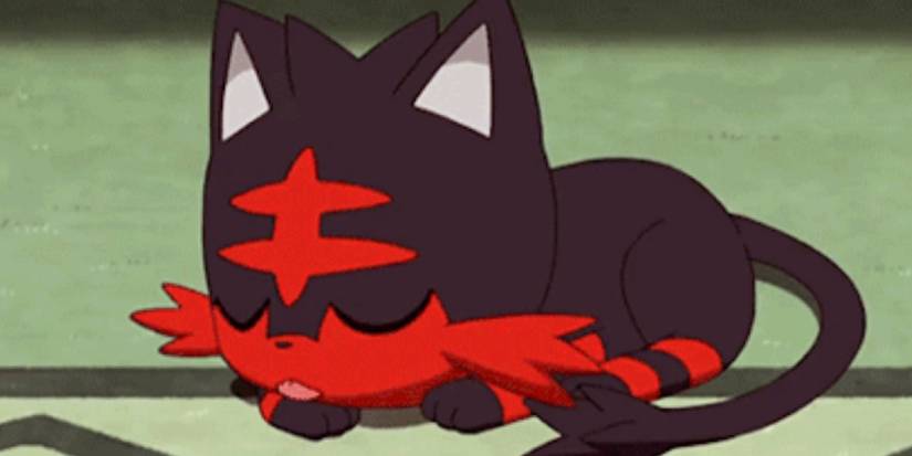 gen 7 fire starter taking a cat nap.