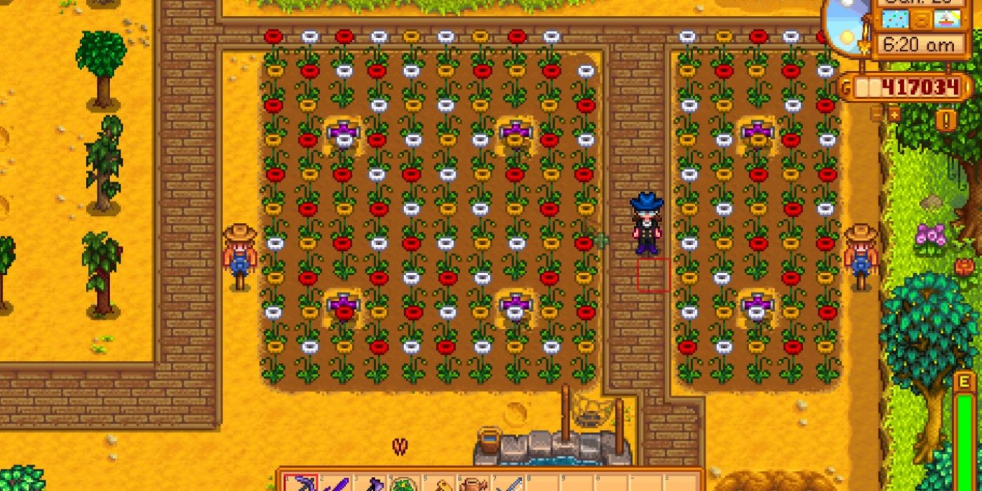 stardew poppy farm with paths between the crops and trees