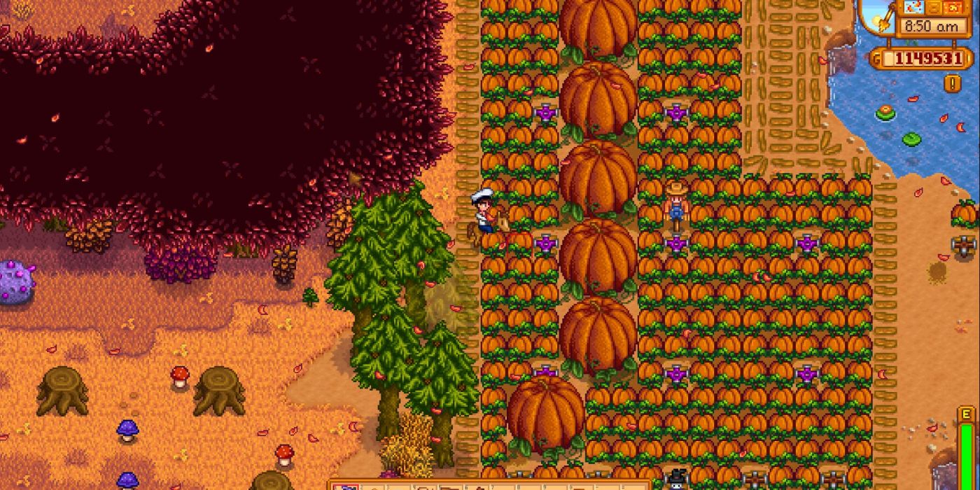 stardew valley pumpking farm with giant pumpkins amidst smaller ones next to mountain