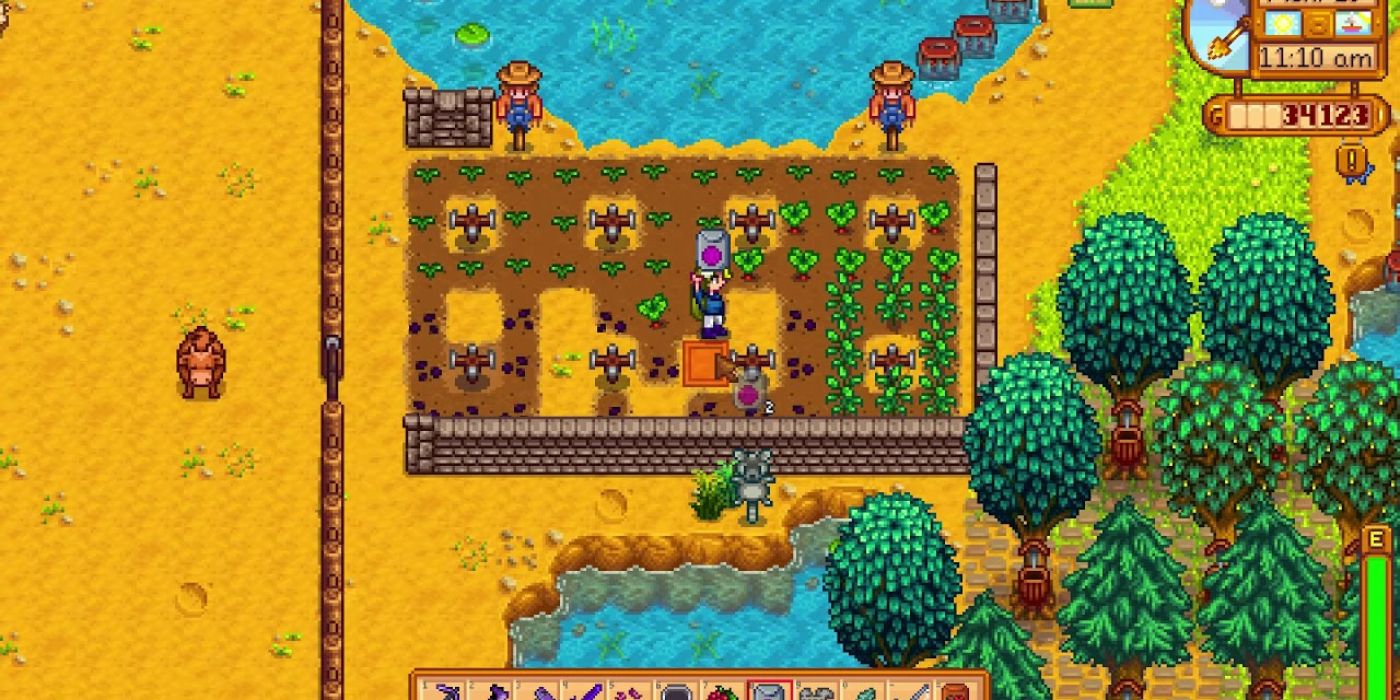 stardew radish farm between two ponds and above a forest