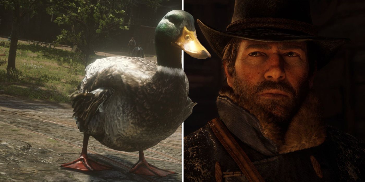 Red Dead Redemption 2: Arthur Morgan and a duck