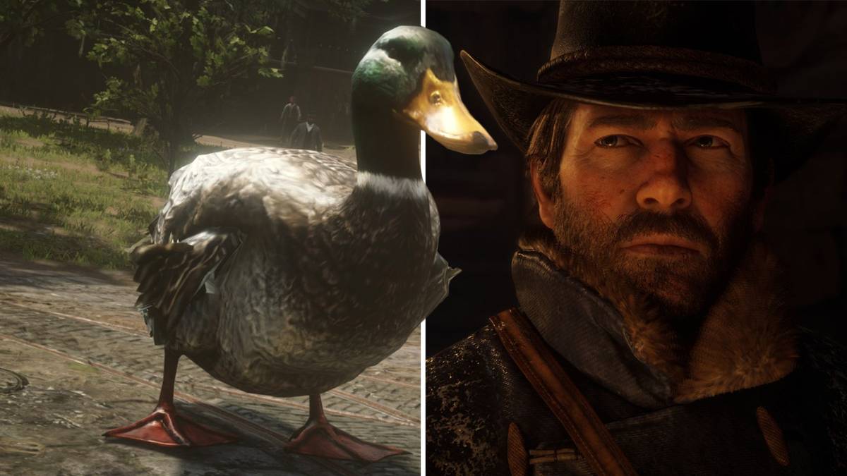 Red Dead Redemption 2: Arthur Morgan and a duck